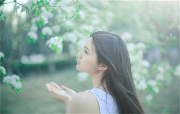宁晋验血查男女几周可以验(验血查男女结果图)